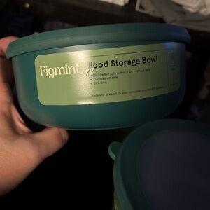 Figmint Teal Food Storage Bowl